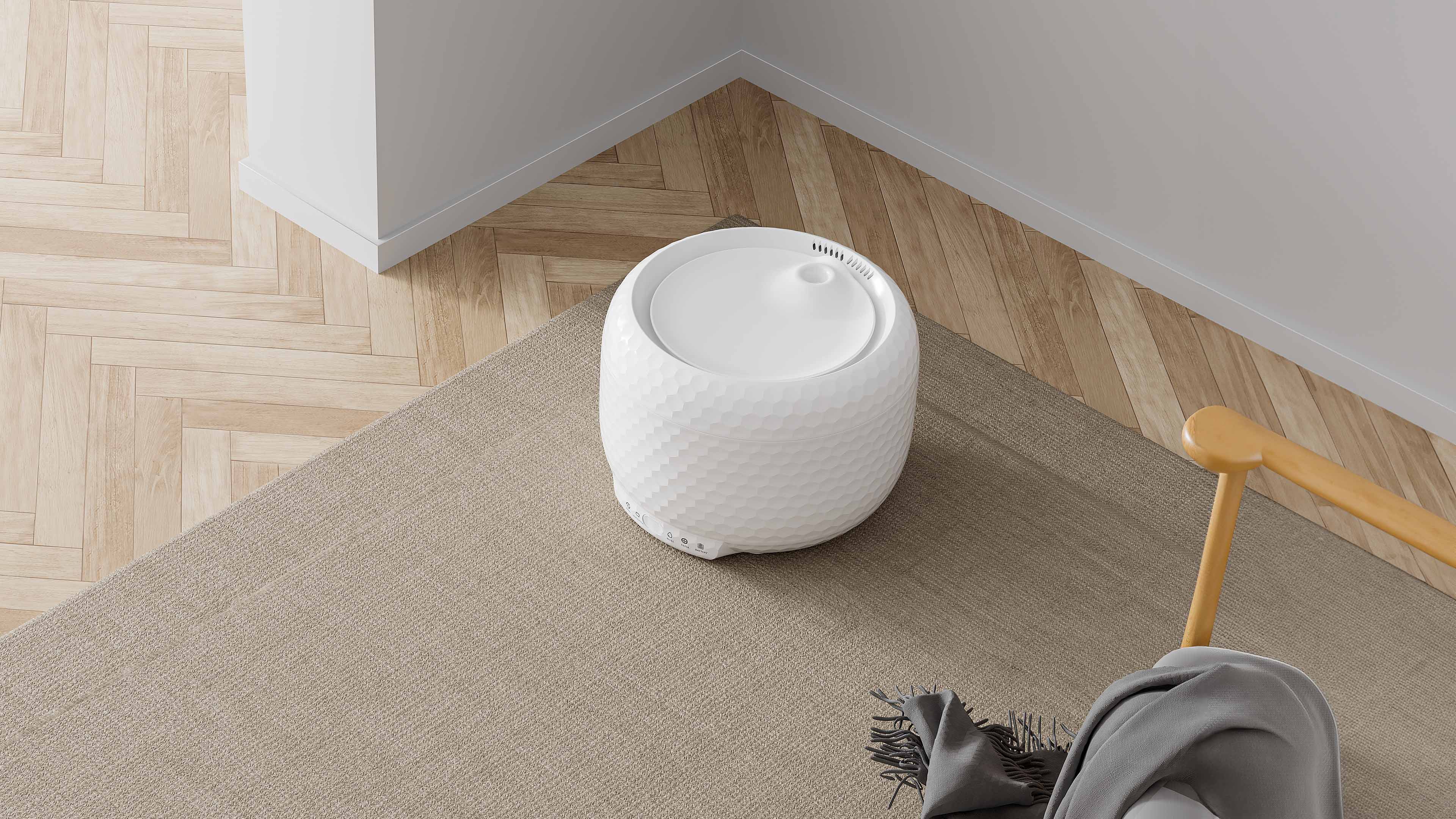 자동 고양이 급수기