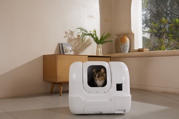 자동 고양이 화장실
