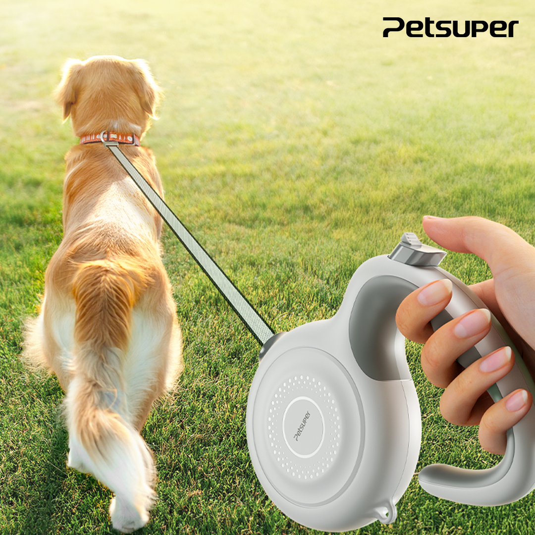 자동 강아지 리드줄